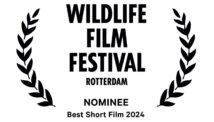 Nomination laurel Artemis Wildlife Festival Rotterdam